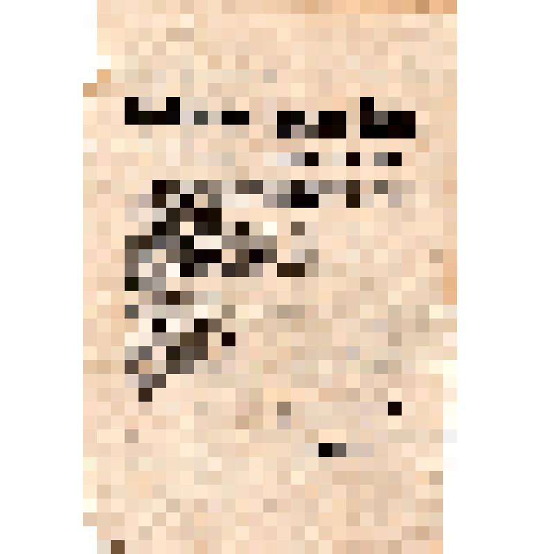 От комиссии городской думы по охране порядка и безопасности  в  г. Киеве