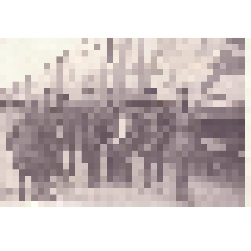 Агитпоезд "Октябрьская революция"