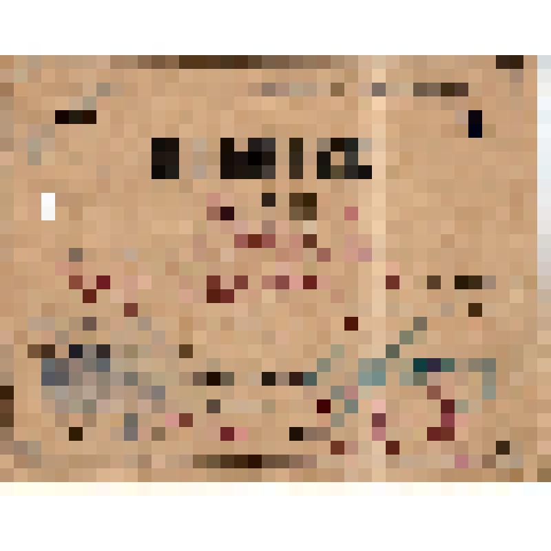 Пропуск N798 Петрова П.И. на право свободного хождения по городу Саратову в течении суток