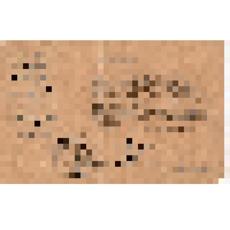 Удостоверение N52 Токтыбаева