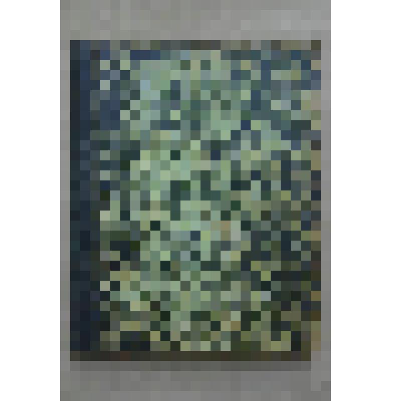 Книга рукописная. Цветник. XIX - нач. XX в