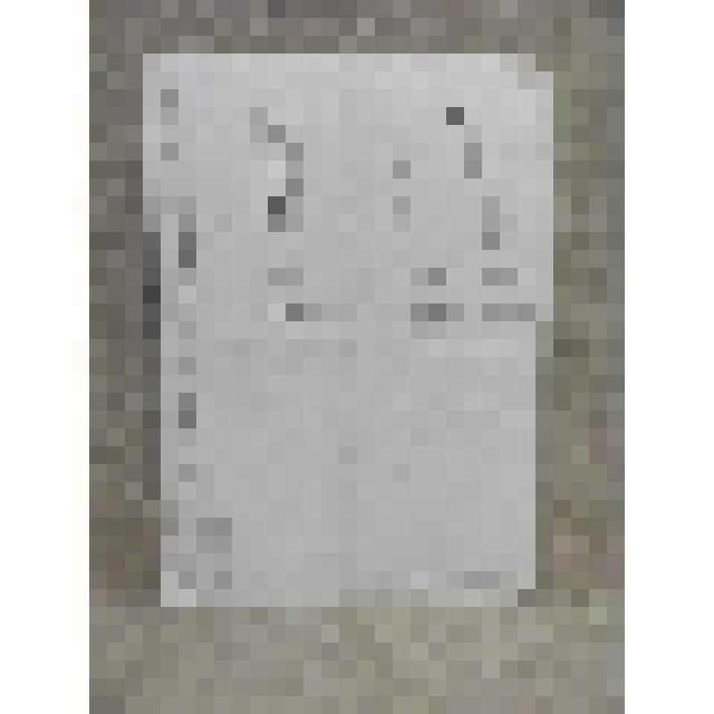 Автобиография Южанина Эмиля Ильича