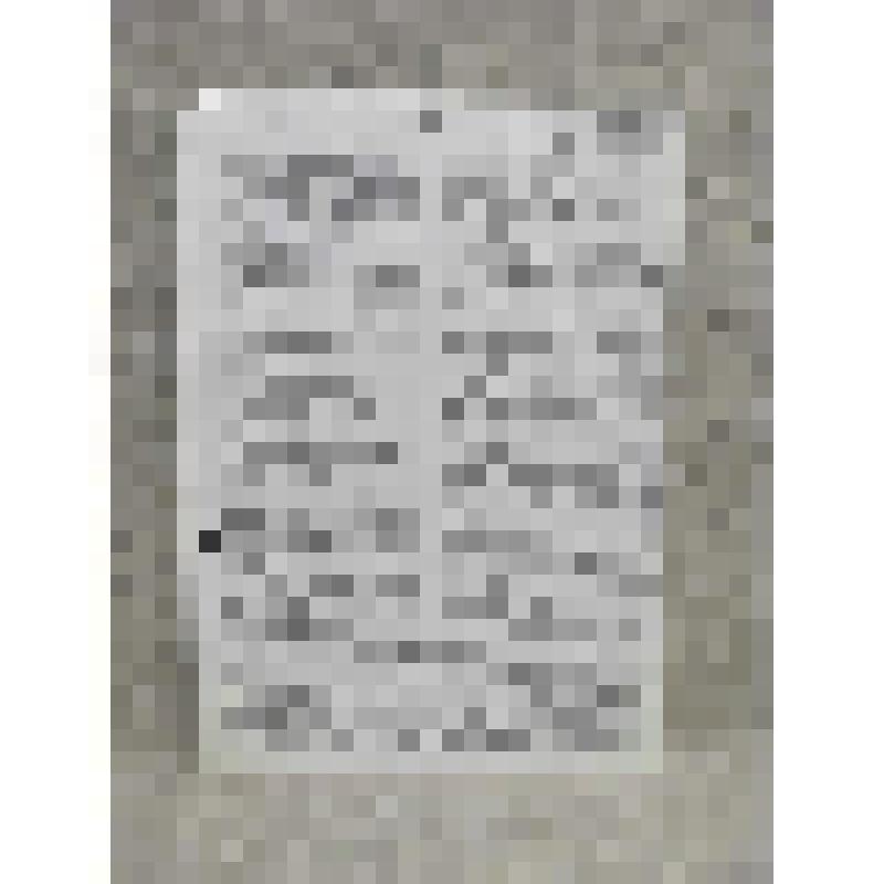 Автобиография Южанина Эмиля Ильича