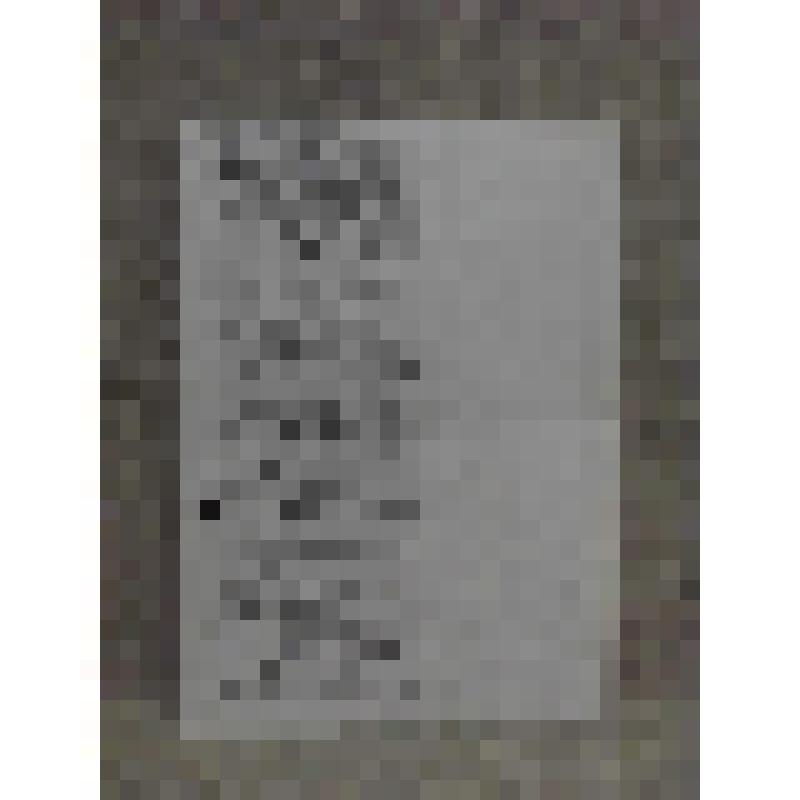 Автобиография Южанина Эмиля Ильича