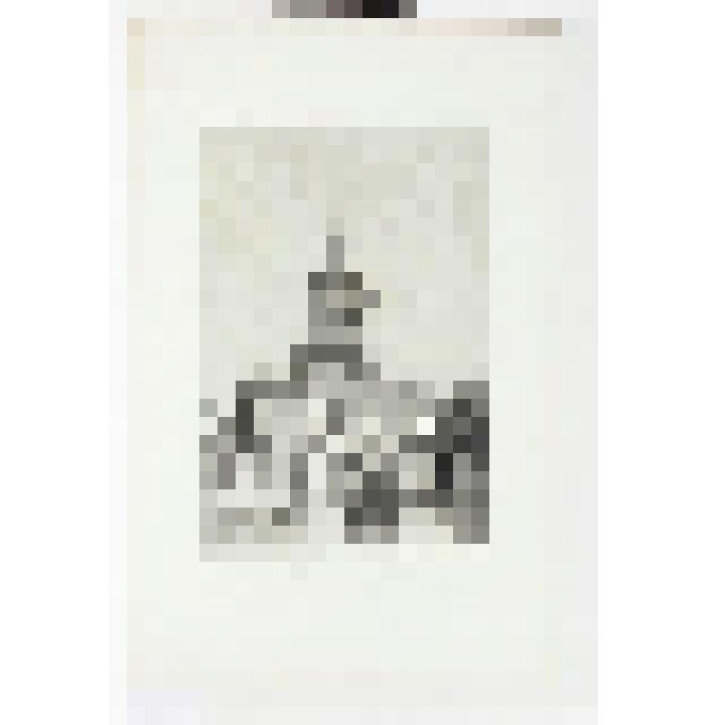 Литография. "Казань. Петропавловский собор."