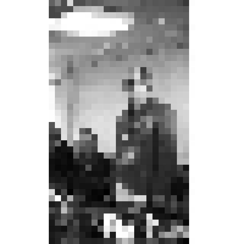 Фотонегатив. Космонавт Горбатко Виктор Васильевич в Волгодонске