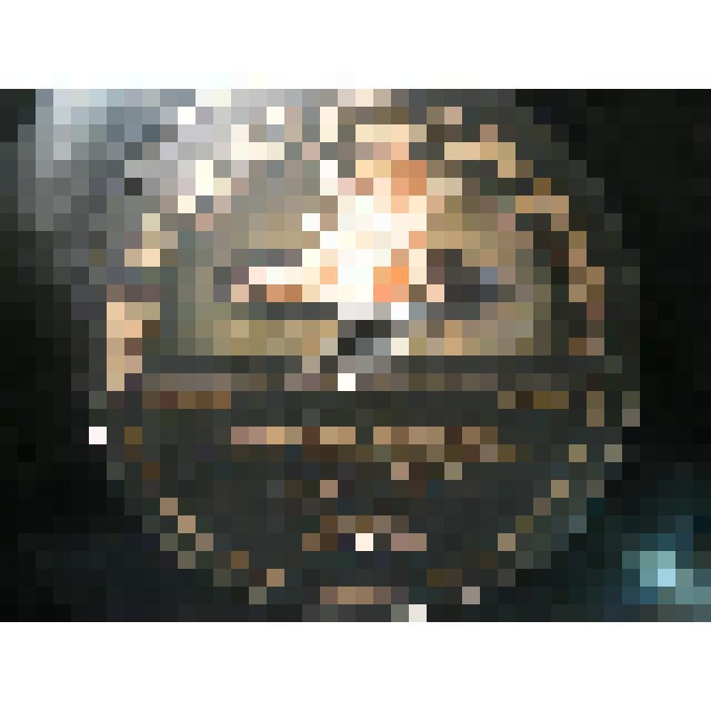 Грампластинка. 1. Пьеса Гоголя Н. В.  "Ревизор". Монолог Городничего. Исполняет Борисов Б. С.  2. Пьеса Грибоедова А. С.  "Горе от ума". Монолог Фамусова.  Исполняет Борисов Б. С