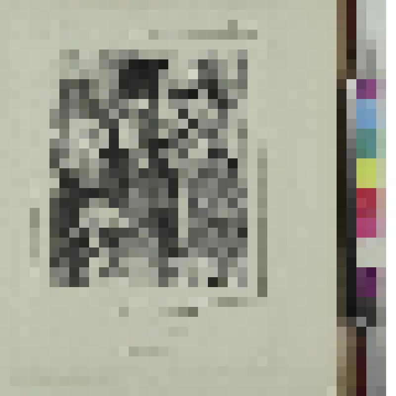 "Мсье дебютант...". Лист из журнала "L'Eclair". Серия "Плащ Арлекина". литография