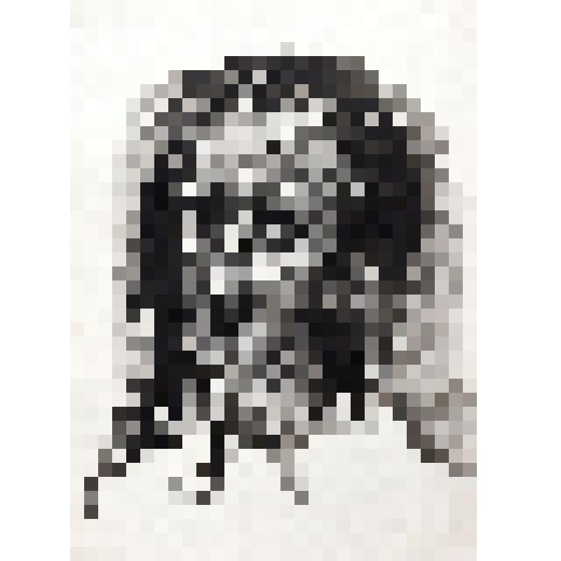 «Портрет Бориса Радько».1978