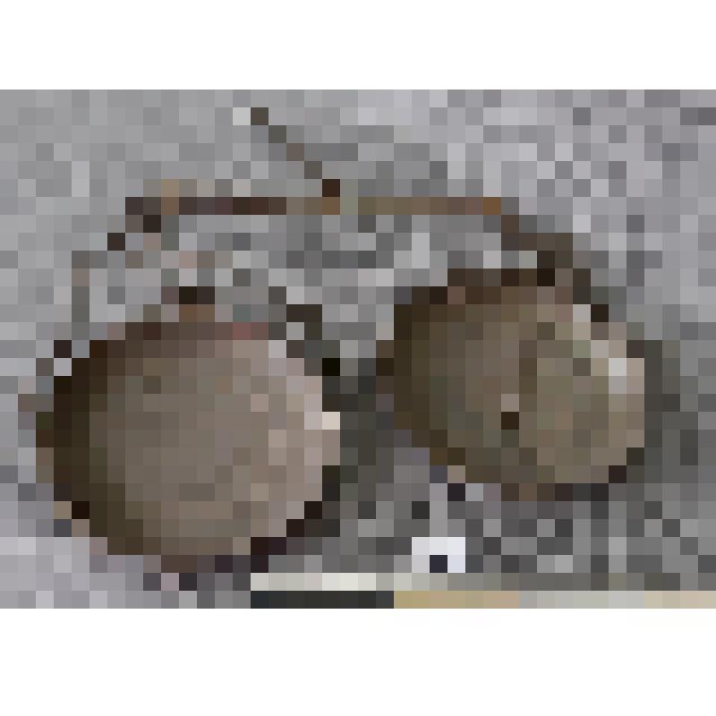 Весы бытовые