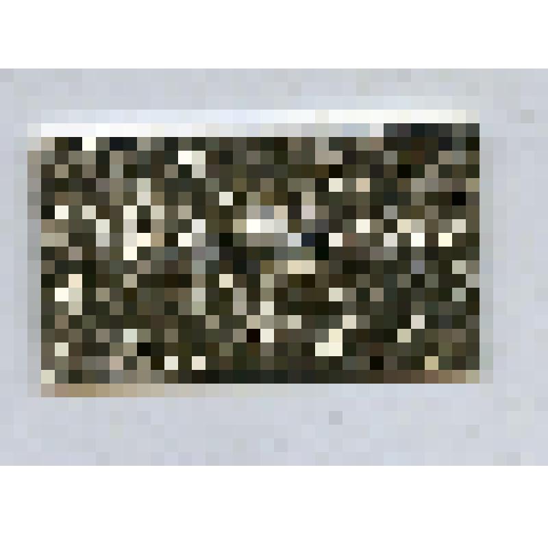 Значок "БАМ". Из коллекции значков Самсоновой К.П