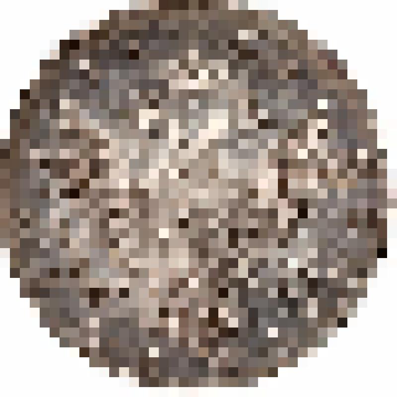 Монета "рубль"