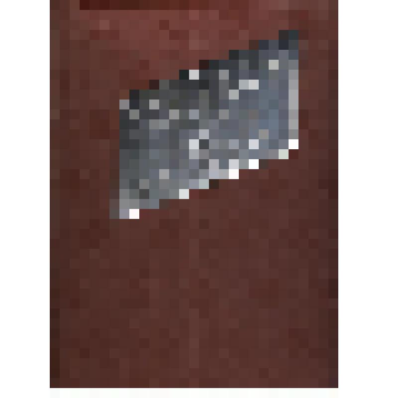 Рапорт кол-ва Кыштымского радиозавода в честь « Дня Кыштыма» посвященного 100- летия со дня рождения В. И. Ленина 27 августа 1969 г.(23 фото)