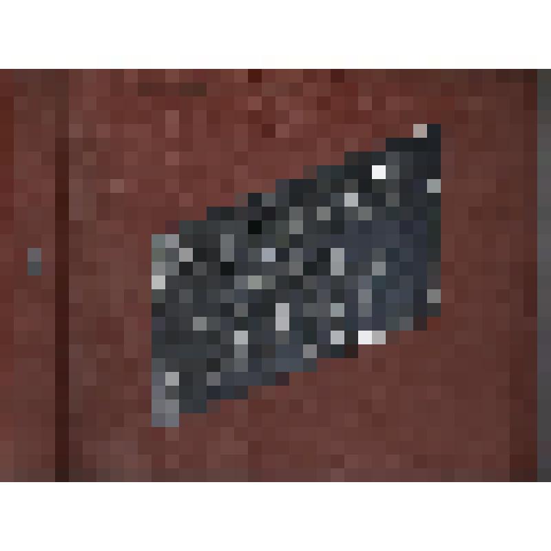 Рапорт кол-ва Кыштымского радиозавода в честь « Дня Кыштыма» посвященного 100- летия со дня рождения В. И. Ленина 27 августа 1969 г.(23 фото)