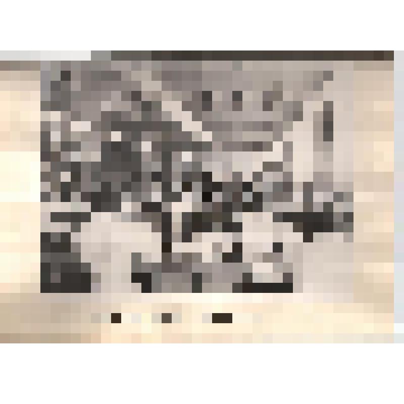 Рапорт кол-ва Кыштымского радиозавода в честь « Дня Кыштыма» посвященного 100- летия со дня рождения В. И. Ленина 27 августа 1969 г.(23 фото)