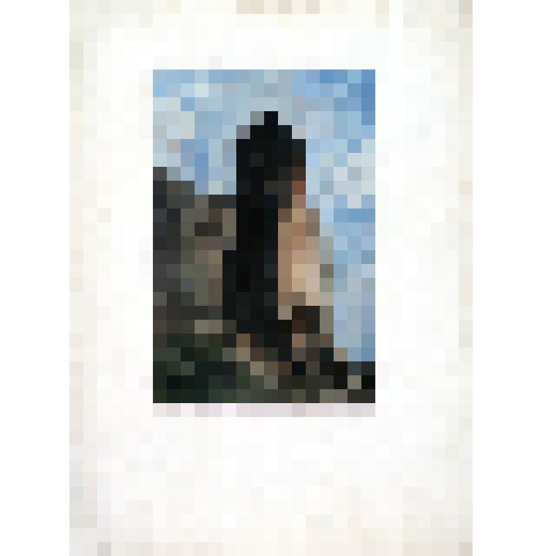 Башня Кармалюка