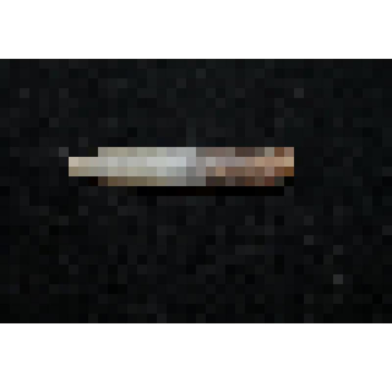 Минерал. Белемнит