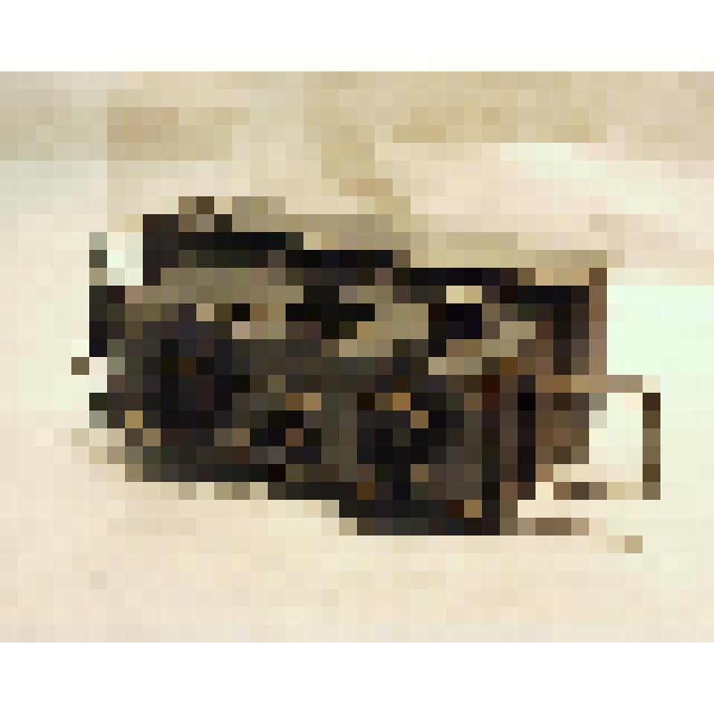 Фотоаппарат стереоскопический "Вераскоп" с видоискателем и кассетами