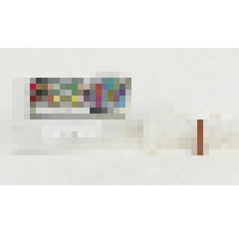 Дистальная часть пластинки