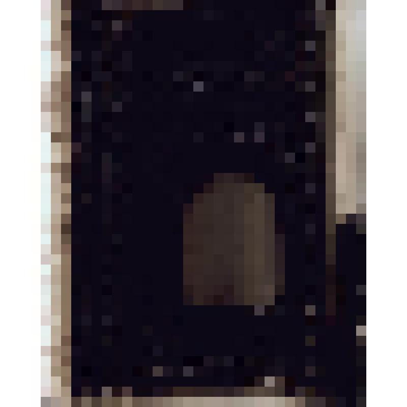 Негатив на стеклянном носителе. Дверь резная. Индийцы, сикхи