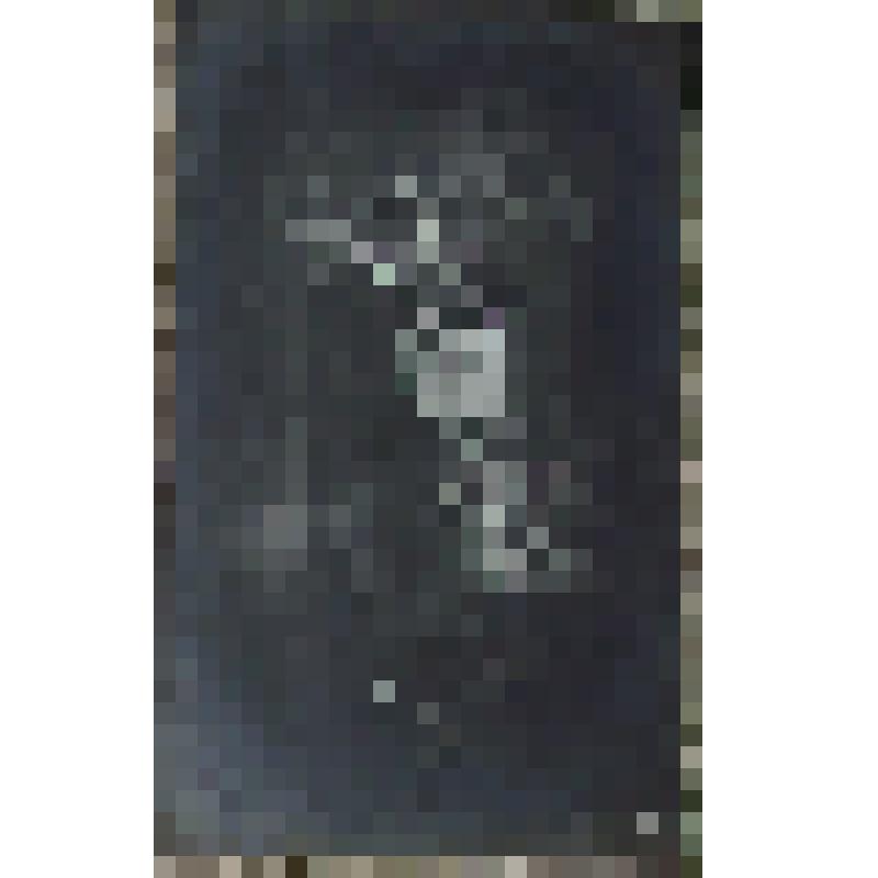 Фото-открытка. Влюбленные в парке