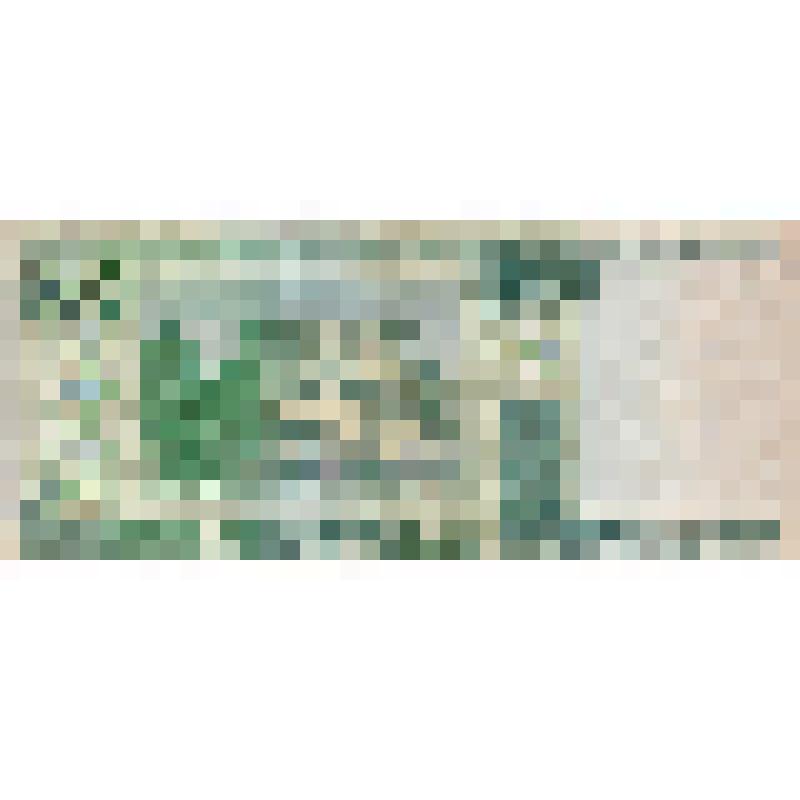 Банкнота: «Денежная банкнота национального банка Республики Беларусь номиналом 100 рублей 2000 г. Серия и номер: дН 0373137»