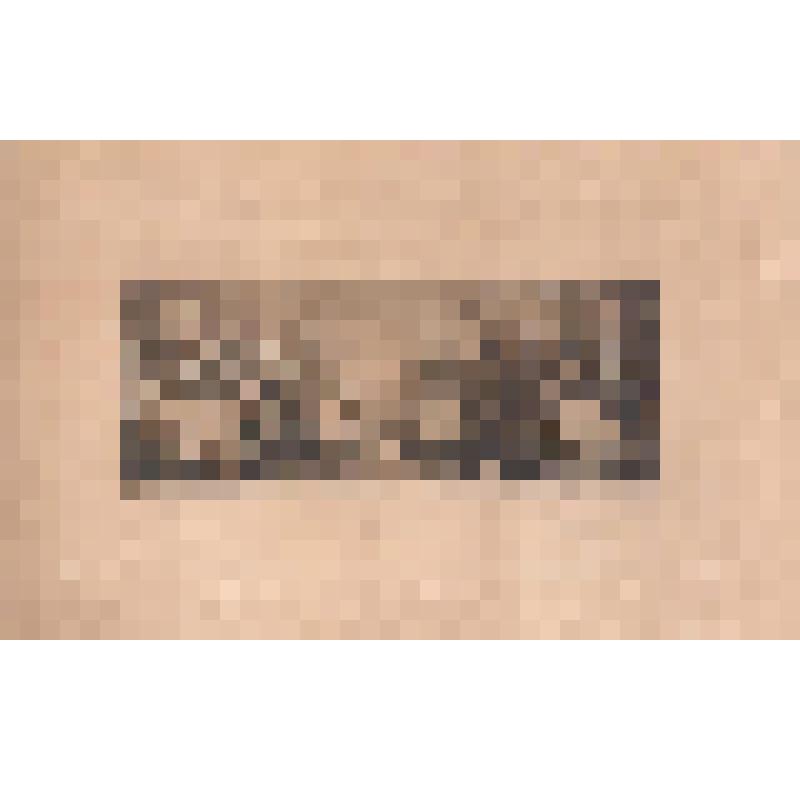 Репродукция с картины. Печатная репродукция с картины Веронезе "Пир в доме Симона Фарисея"