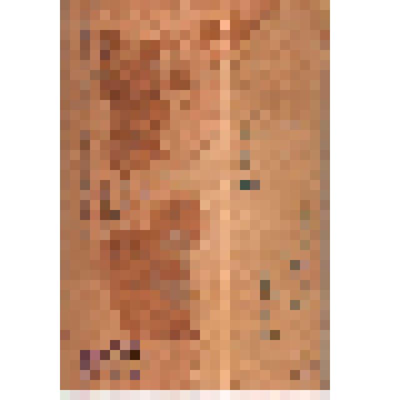 Фото Гаврилова Н.И. комсомольца 20-х годов