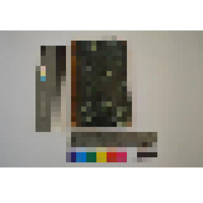 Книга. История литературы средних веков Вилльмена. Том 2. Москва, в тип. С. Селивановского, 1836