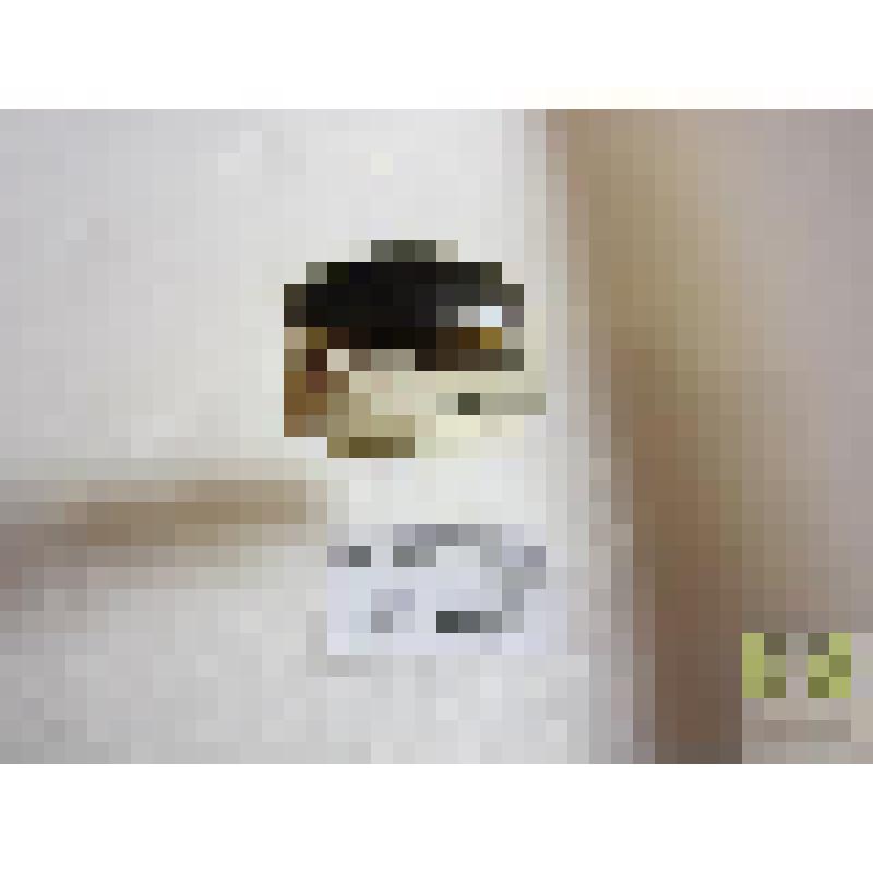 Болотник черноватый  (Hydaticus seminiger Dej.)