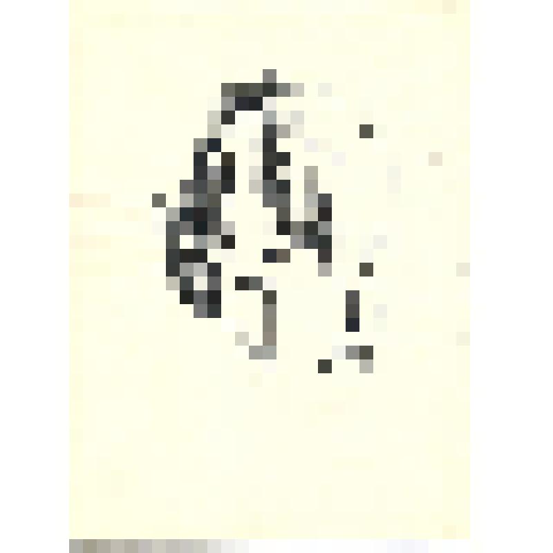 Автопортрет