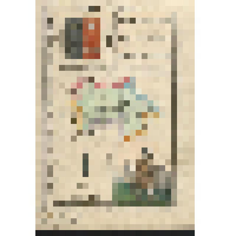 Куопиоская губерния