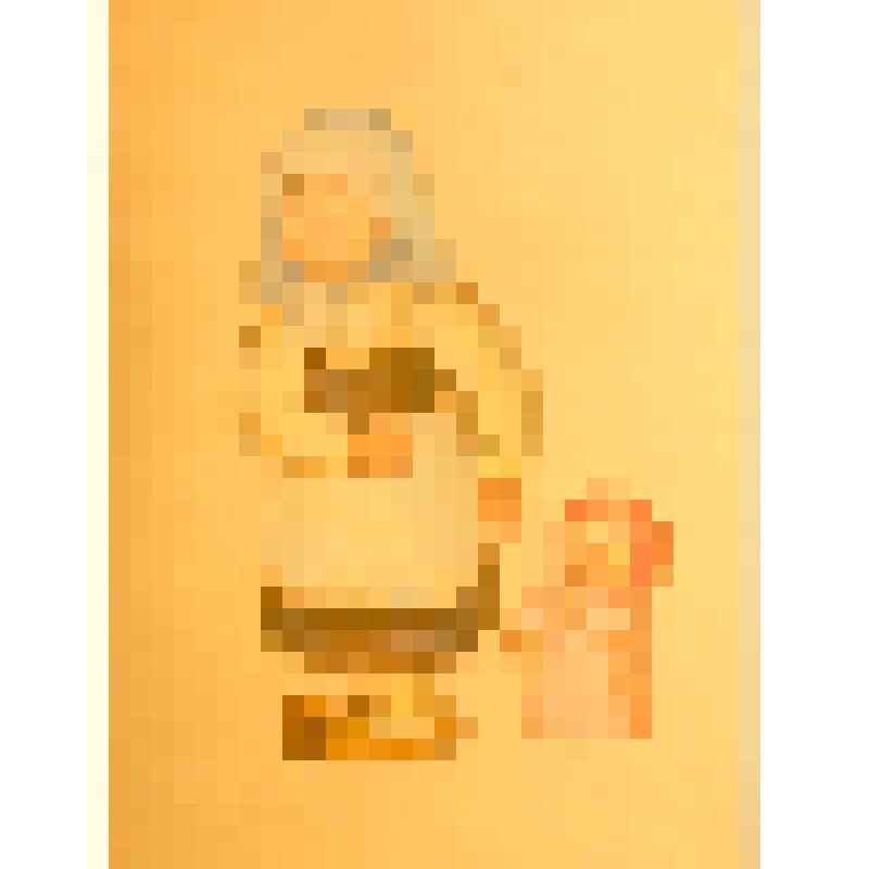 Эскиз куклы. "Бабушка Одарья, Внучка". Театр кукол. "Щедрое яблоко". Кострома