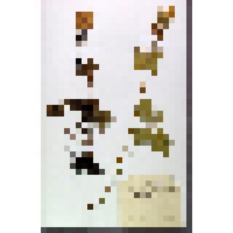 Лист гербарный. Купальница Ледебура (Trollius ledebourii)