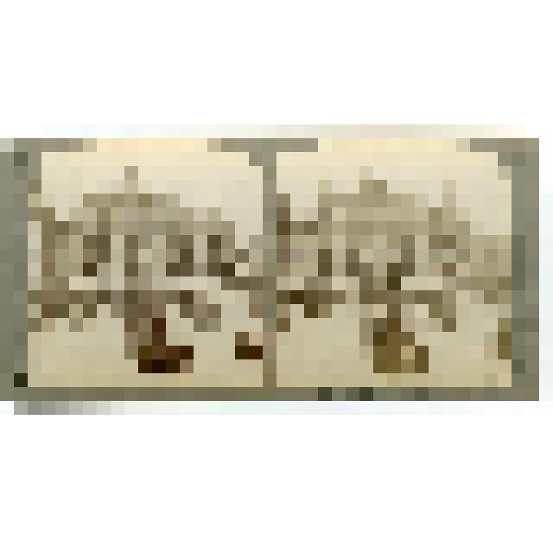 Гранд Опера. Франция. Париж. Гранд Опера. Общ. вид. Underwood & Underwood