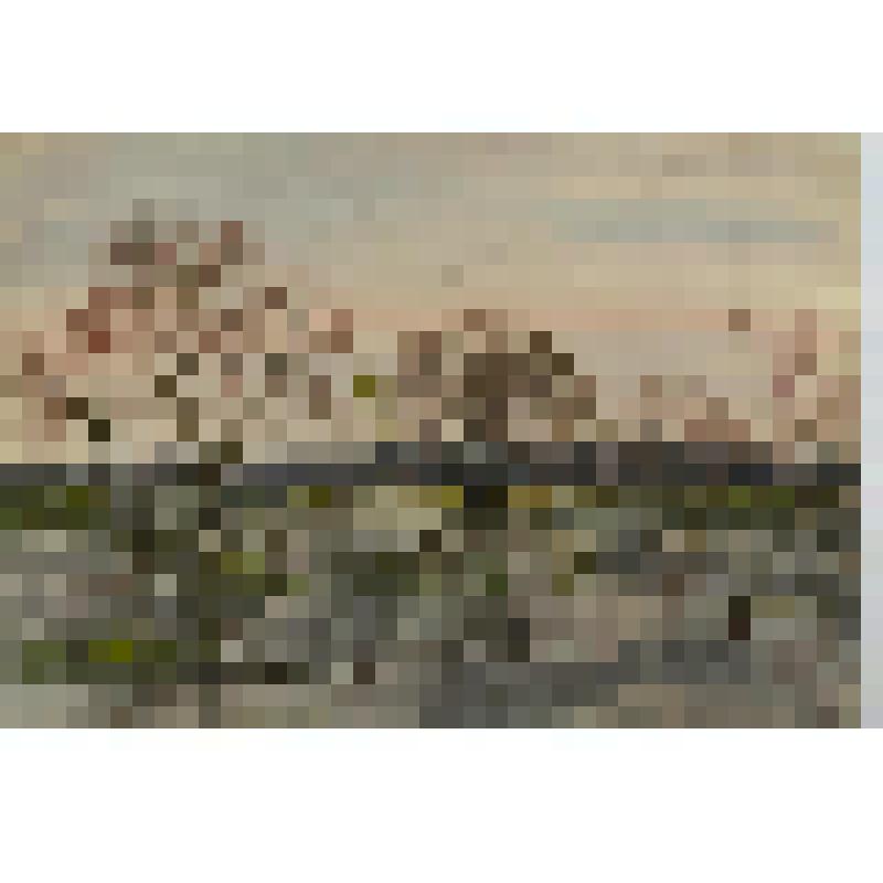 Акварель. Подземные воды. Из серии «Подмосковье»