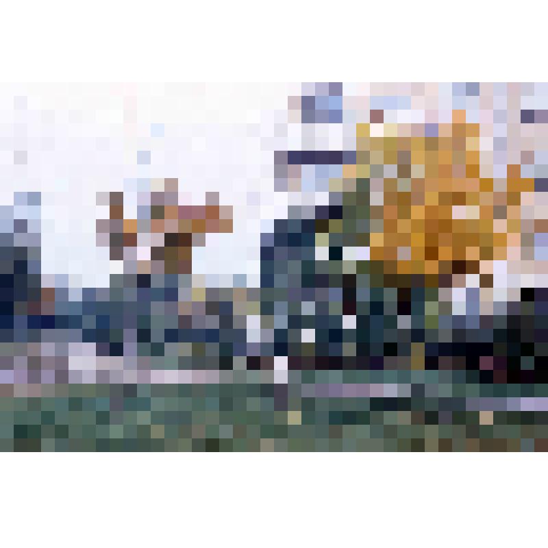 Диапозитив. (395)