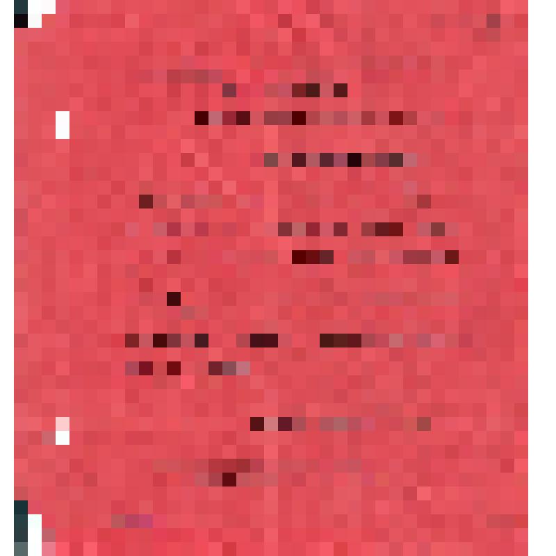 Российская социал-демократическая рабочая партия. Московский комитет РСДРП. Товарищи и граждане!