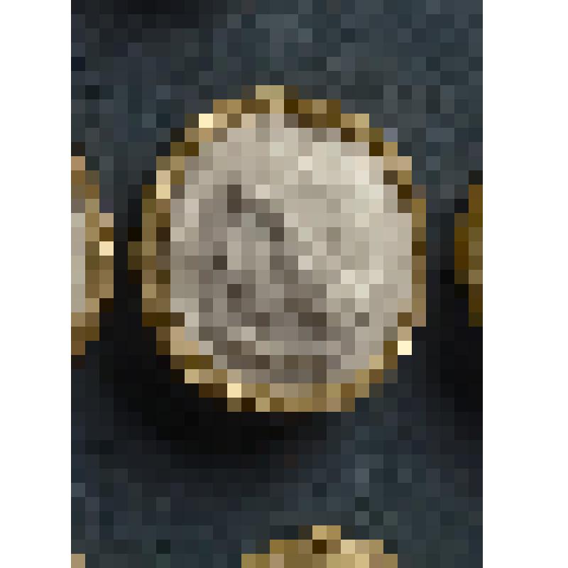 Гемма. Слепок. Голова Медузы