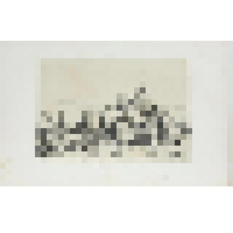 Литография. "Санкт-Петербург. Деревня на Московской дороге."