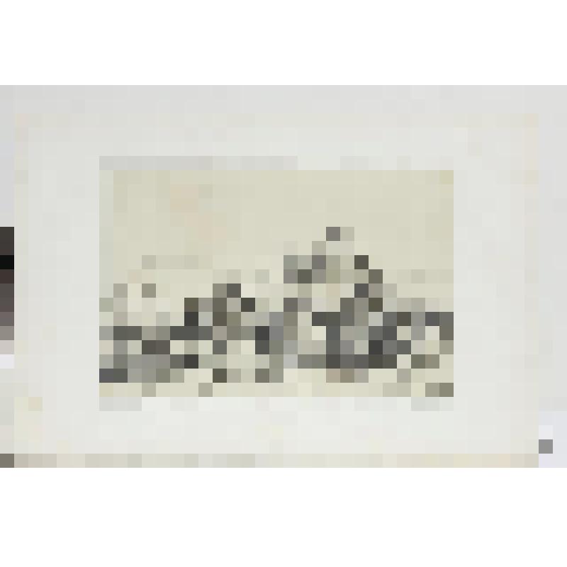 Литография. "Санкт-Петербург. Деревня на Московской дороге."