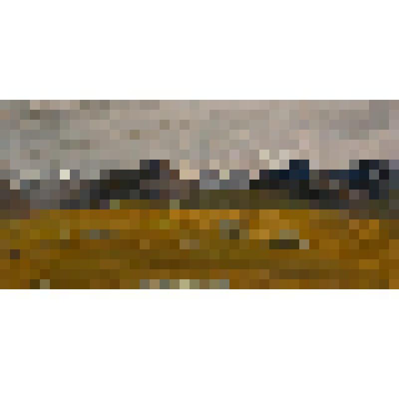 Алтай. IX
