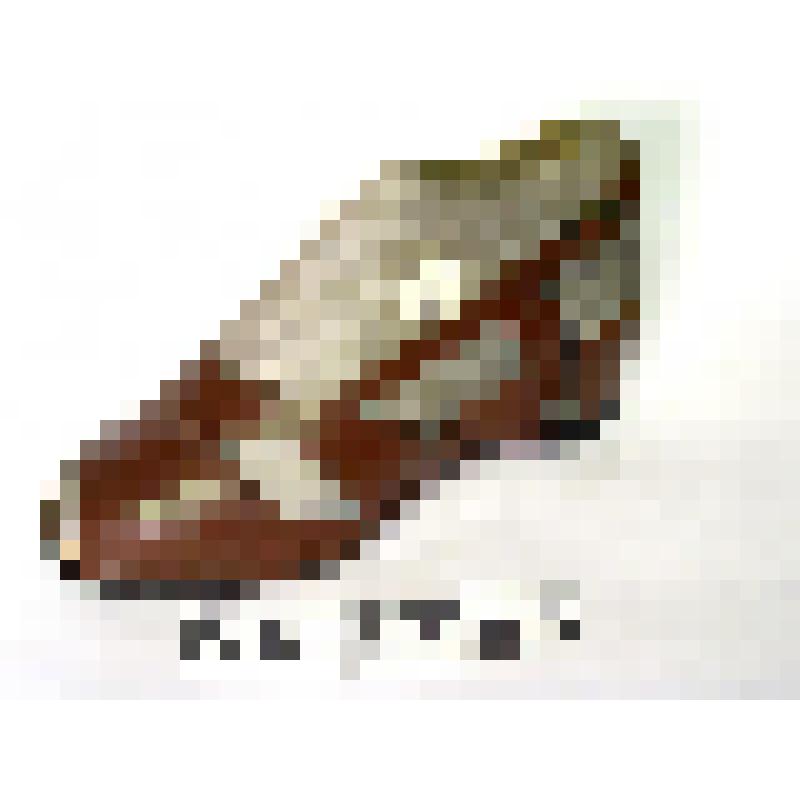 Туфель летний-босоножка, женский, коричневого цвета, с пряжкой, подошва "танкетка"