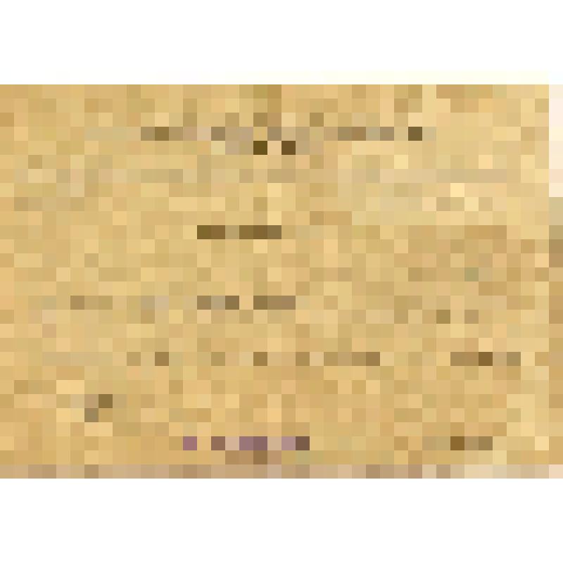 Извещение № 19306 Ноздрину Александру Петровичу о том, что Сизов Николай Иванович в числе погибших, умерших от ран и пропавших без вести сержантов и солдат Советской Армии не значится