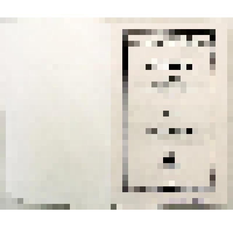 Сборник. Известия / Омск. ГИКМ; сост. и ред. П. П. Вибе. - № 11. - Омск, 2005