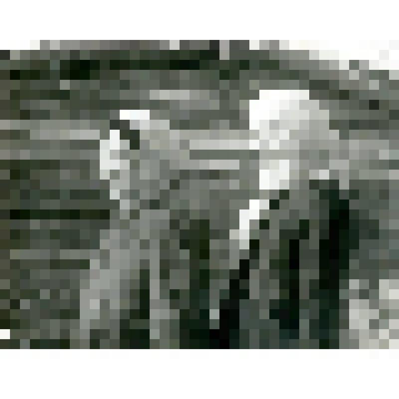 Фотография. Девушки эвенки