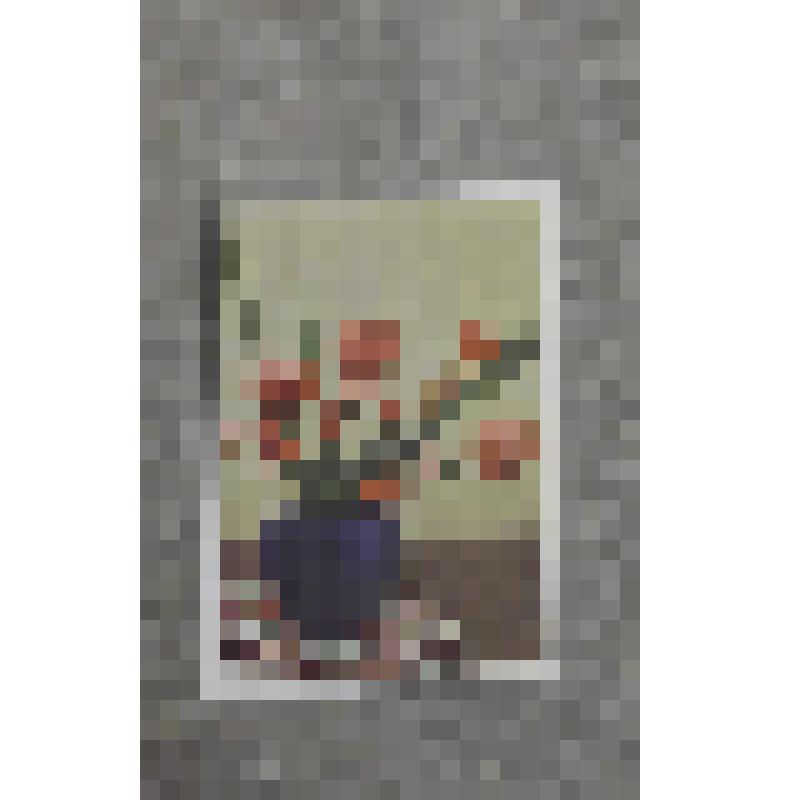 Телеграмма поздравительная кружковцам- краеведам  от Николаева С.Н