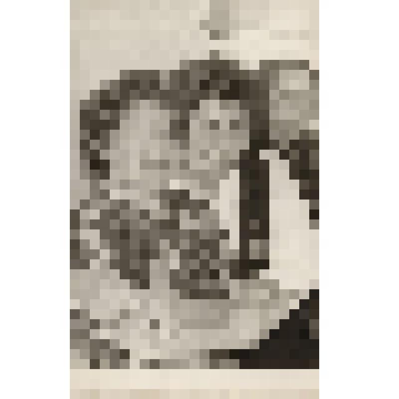 Фотография. Гребенщикова Анна Васильевна с боевыми подругами