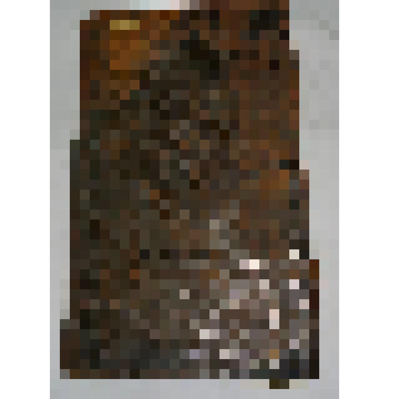 книга кириллической печати. Лествица