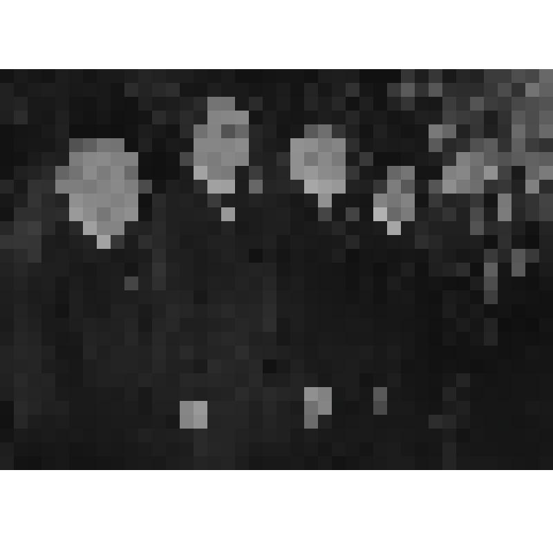 Церемония прощания с Иосифом Сталиным в Колонном зале Дома Союзов. Почетный караул у гроба. Делегация из Чехословакии и Председатель Коммунистической партии Австрии Иоганн Коплениг . Негатив